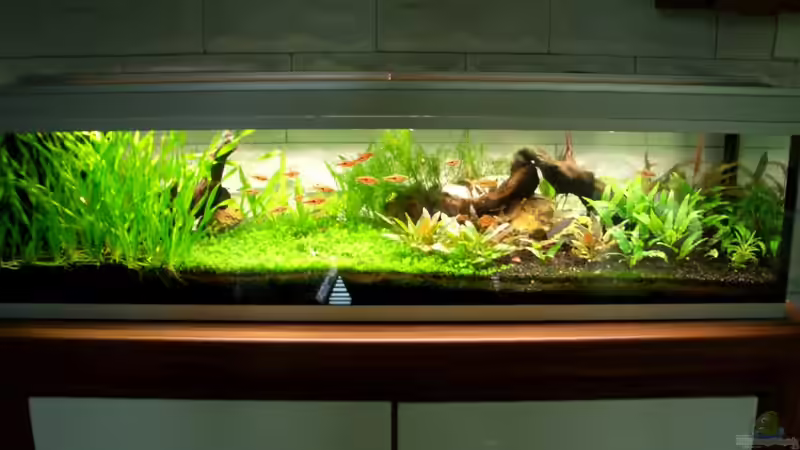 2.5.2010 von navigator1 (14)