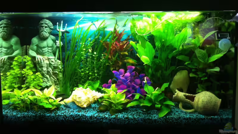 2.5.2012  von Yasmine (4)