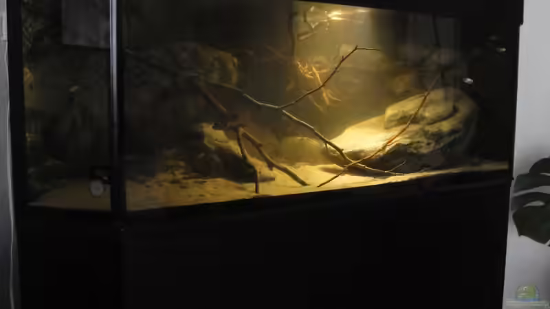 2.8.15 von Laura (9)