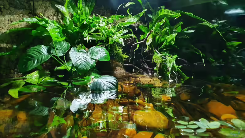 2.9.21 von Aqua fan (10)