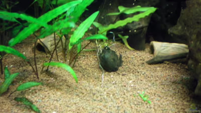 2 der 3 Höhlen... von Thomas Ahrens (11)