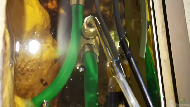 Einrichtungsbeispiele für Aquarien mit Kühlung