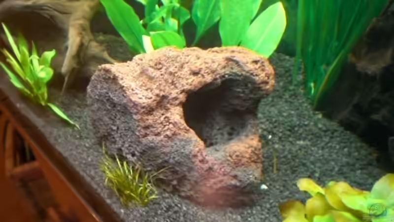 2 fabiger Lavastein mit durchschwimmmöglichkeit von Dennis und Katha (9)