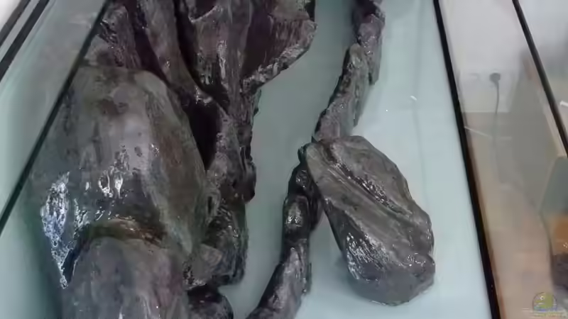 2 fach mit Epoxy versiegelt und mit Aquariumsilikon ins AQ geklebt -> ENDLICH  FERTIG von Trooper (35)