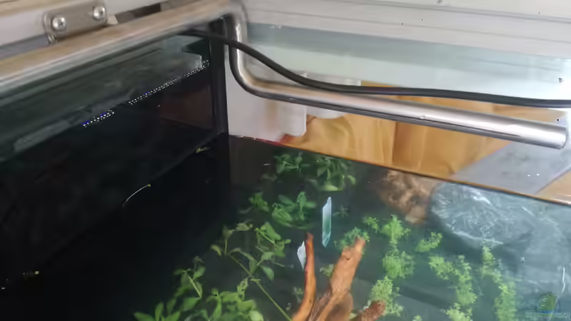 2.Foto fertig montiert und poliert. Schlitzdüse erkennbar von Niederbayer_Andee (18)