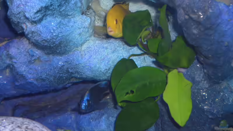 2 Freunde von JAMES-JONES (22)