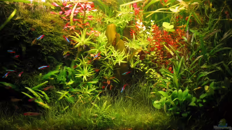 2 Hauptbild von Andreas Bauer (3)