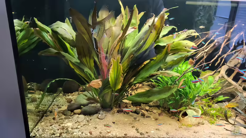 2 Jahre alt von Markus J. (10)