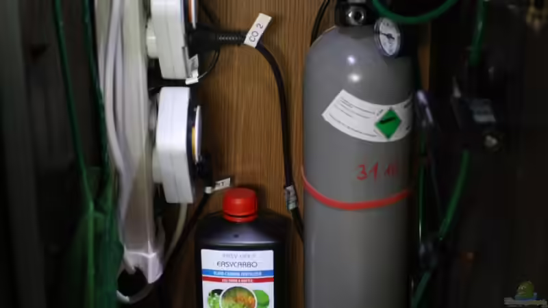 2 kg CO2  von semimarinus (24)