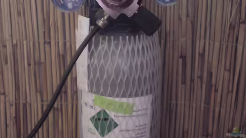 2 kg CO2 Flasche von bluestime (22)