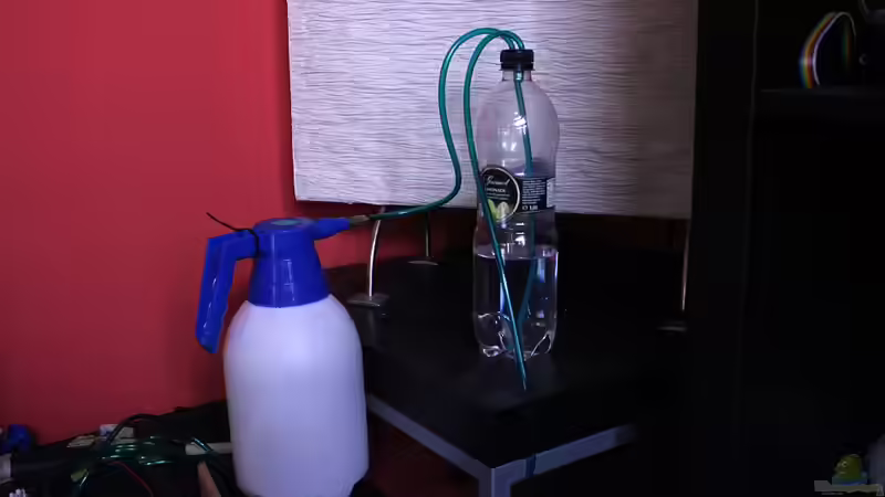 2 L Hefereaktor und Waschflasche (=Blasenzähler). Hält 1-2 Monate bei 5-10 Blasen pro Minute. von vixen (16)