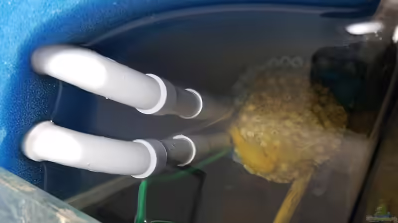 2 Luftheber 25mm  Durchflussmenge 2?? 720L/h = 1440L/h von Thomas0902 (36)