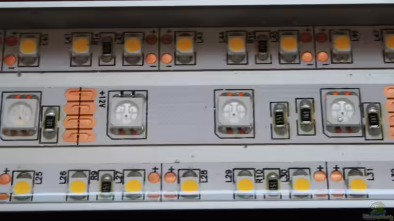 2 Lumlight Lampen im Einsatz  von Florian Bandhauer (46)