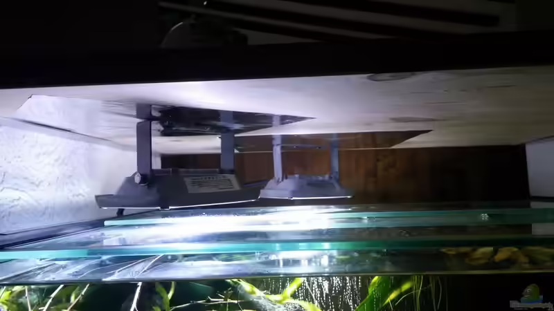 2 mal 20 Watt led Fluter von Miss Kasimir (10)