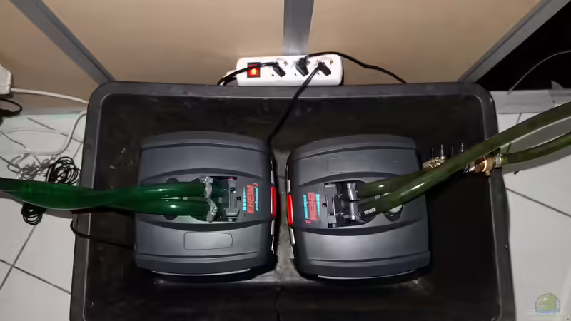 2 mal Eheim Aussenfilter. Falls die mal lecken sollten, stehen sie immer noch im von Ba Bu (8)