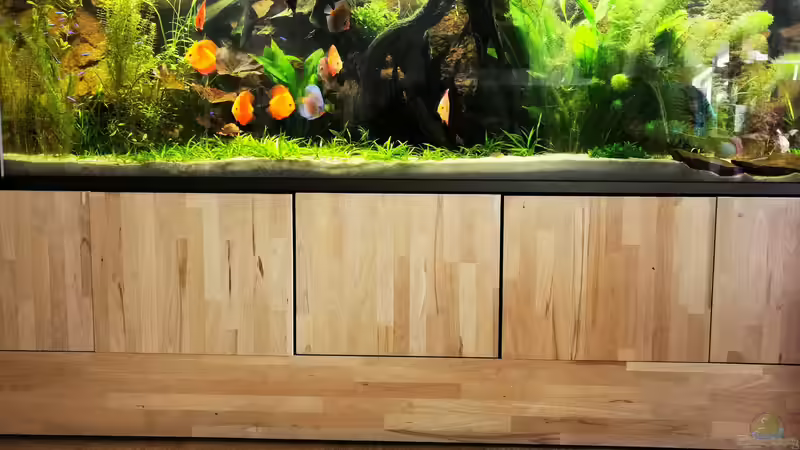 2 Monate nach Inbetriebnahme von Odonata (7)