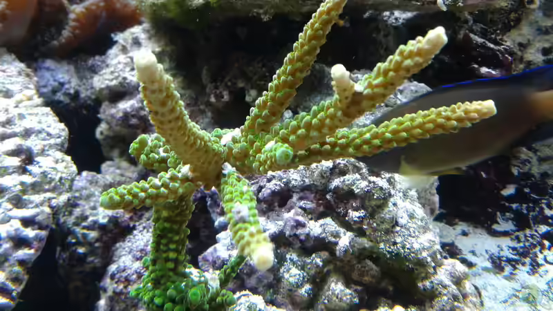 2 Monate später.... von Truthahnmann (72)