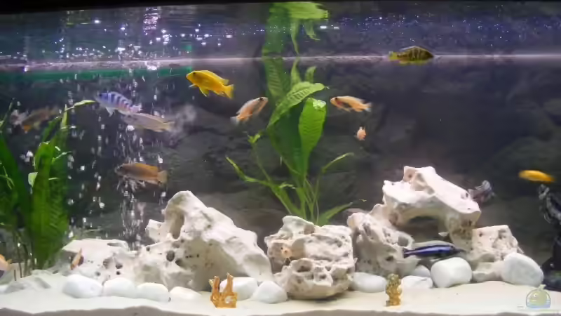 2 Phase der Einrichtung abgeschlossen von Malaw!K!d (5)