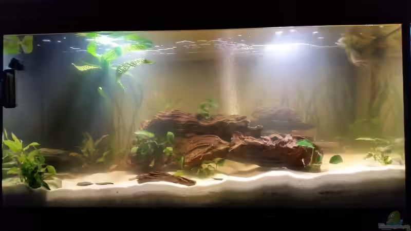 2.Tag  von SvenDerGroße (4)