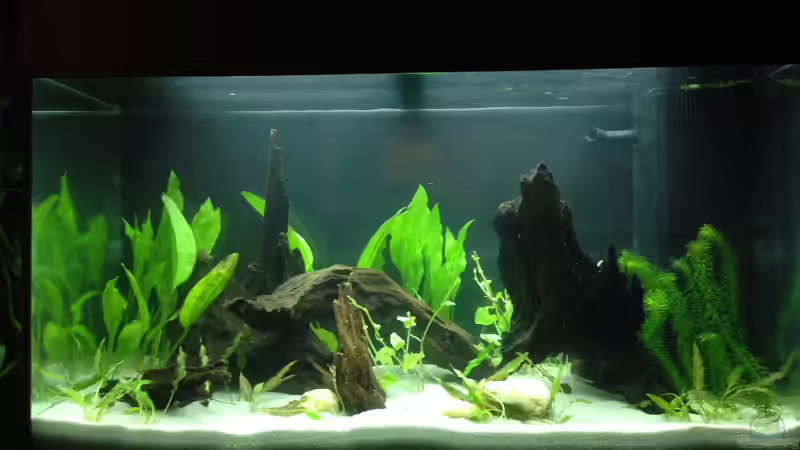 2 Tage nach Einrichtung von Yell0W (3)