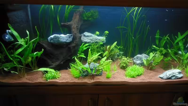 2 Tage nach Neueinrichtung von Bandito76 (2)