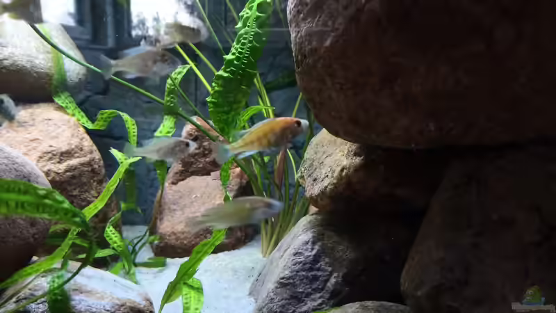 2 Tage später von MbunaTowers (8)