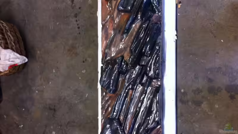 2-teilig gestrichen erste Versiegelung von bbussmann (34)