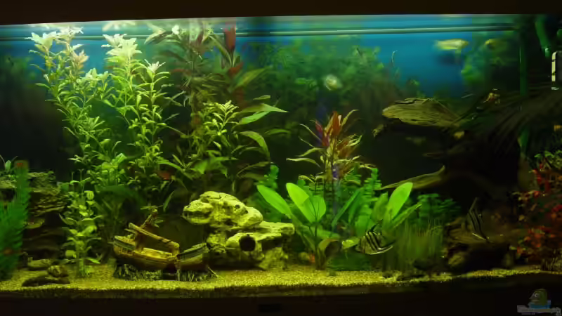 2 von Alexander Schilke (8)