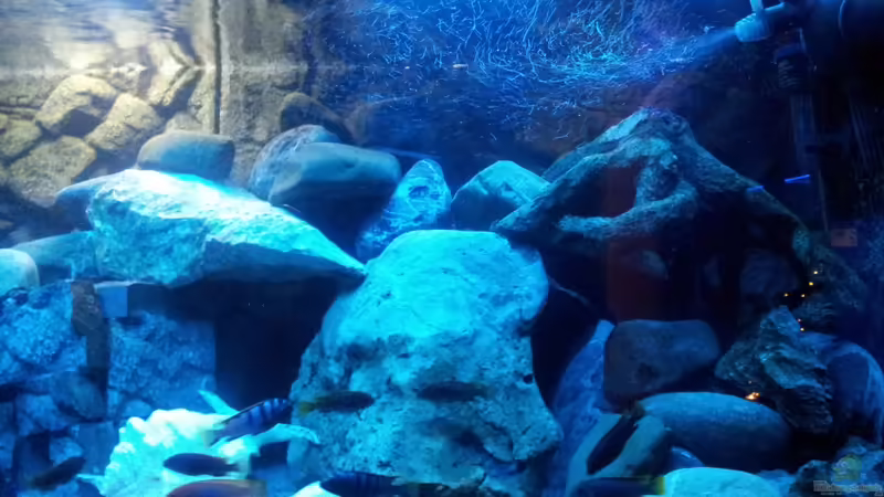 2 von FrankenWasser (9)