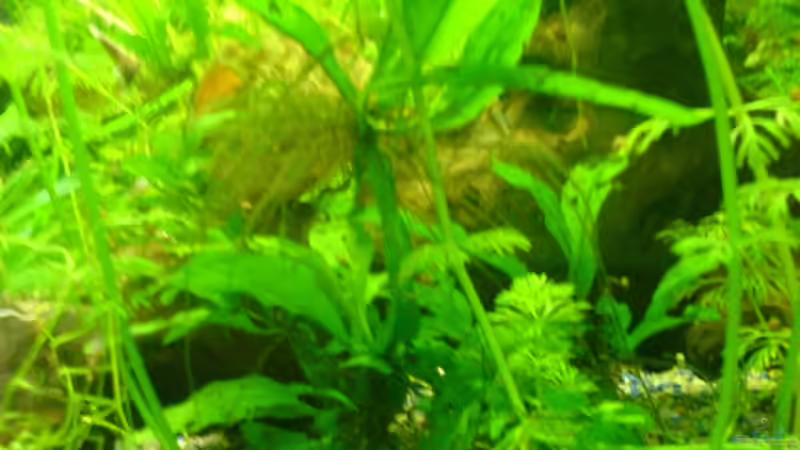 2 von Joschka Bienhüls (5)