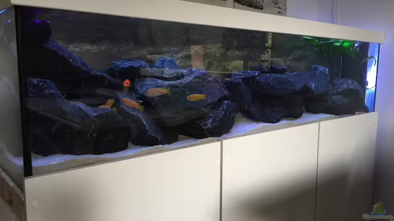 2 von Living Trees (2)