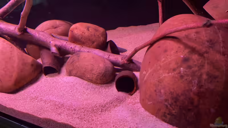 2 von Lowrey1983 (3)