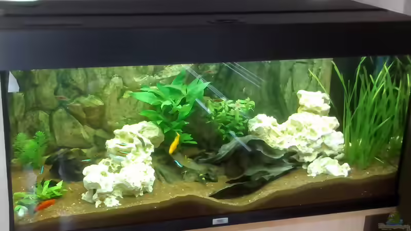 2 von Marcus Egeling (3)