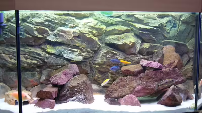 2 von Michael Fischer (3)