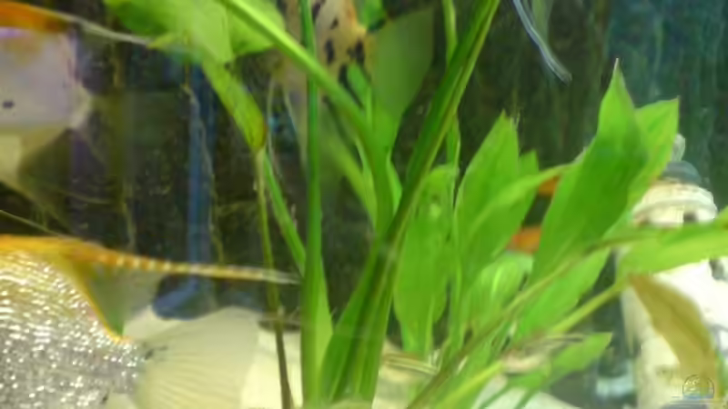 2 von Michael Seidel (8)