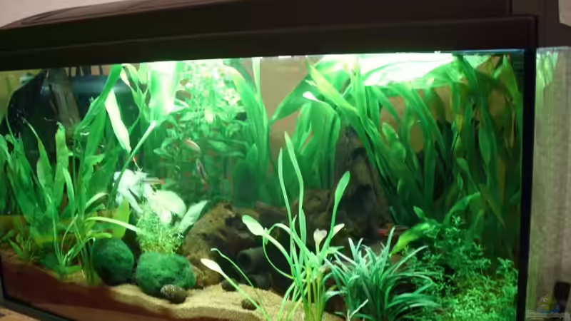 2 von Patrick Adler (3)