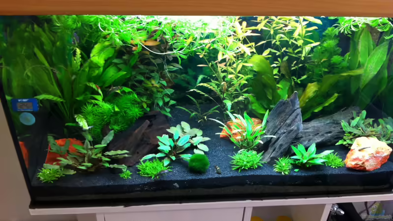 2 Woche von Nastassja&Mario T (5)