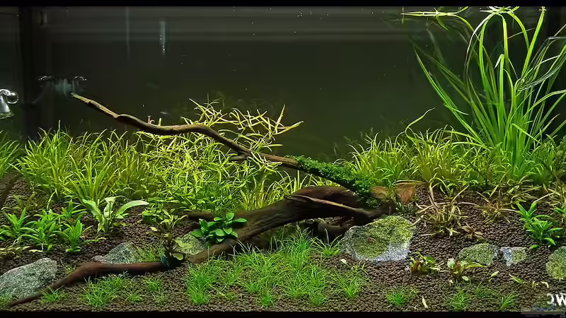 2 Wochen nach Einrichtung von Konzi (8)