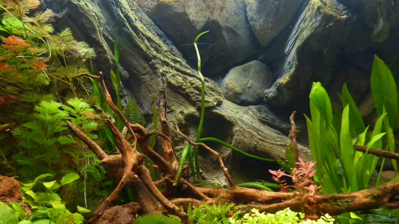 2 Wochen von Stefan Runke (16)