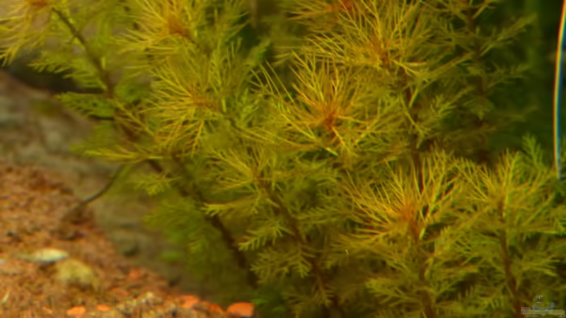 2 Wochen von Stefan Runke (17)