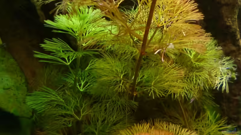 2 Wochen von Stefan Runke (18)