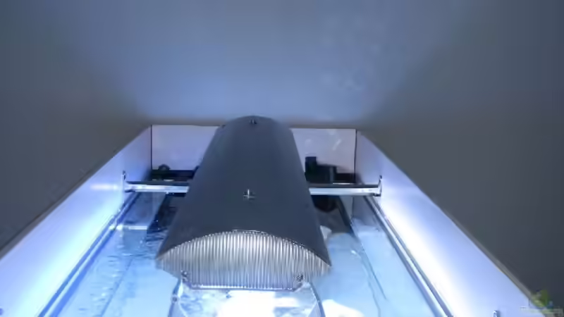 2 x 21w daylight, 2 x 21w mondlicht von Meike_R (26)