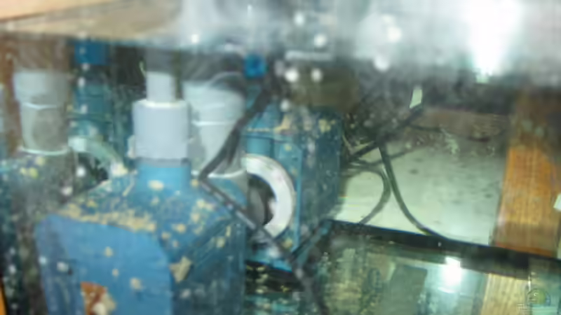 2 x a.2300 Lit. Ströhmungspumpen  von Harald Schuster (10)