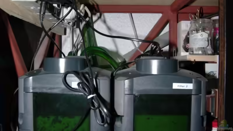 2 x Eheim 2228 Aussenfilter von Ikolaner (5)