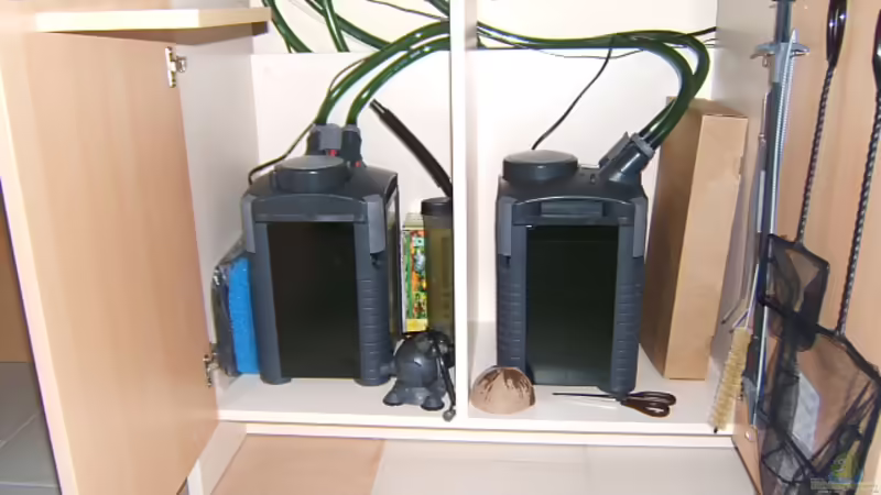 2 x Eheim pro.II  2026 von Salzeritis (6)