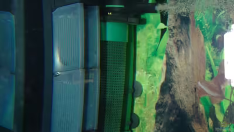 2 x Innenfilter von Ikolaner (6)