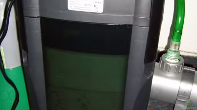 2 x JBL 250 von Robert Kolovrat (13)