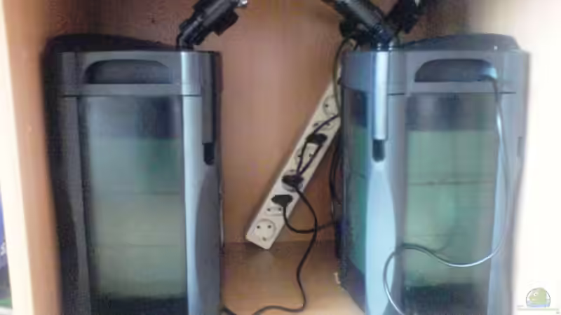 2 x JBL CP 250 von Linkman (10)