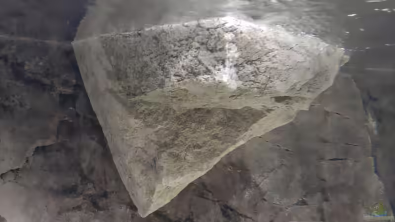 2 x Modul U von A. Schmidt (11)