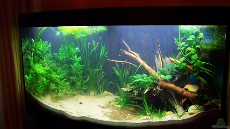 20. 09. 2011: der erste Tag von Denise83 (2)